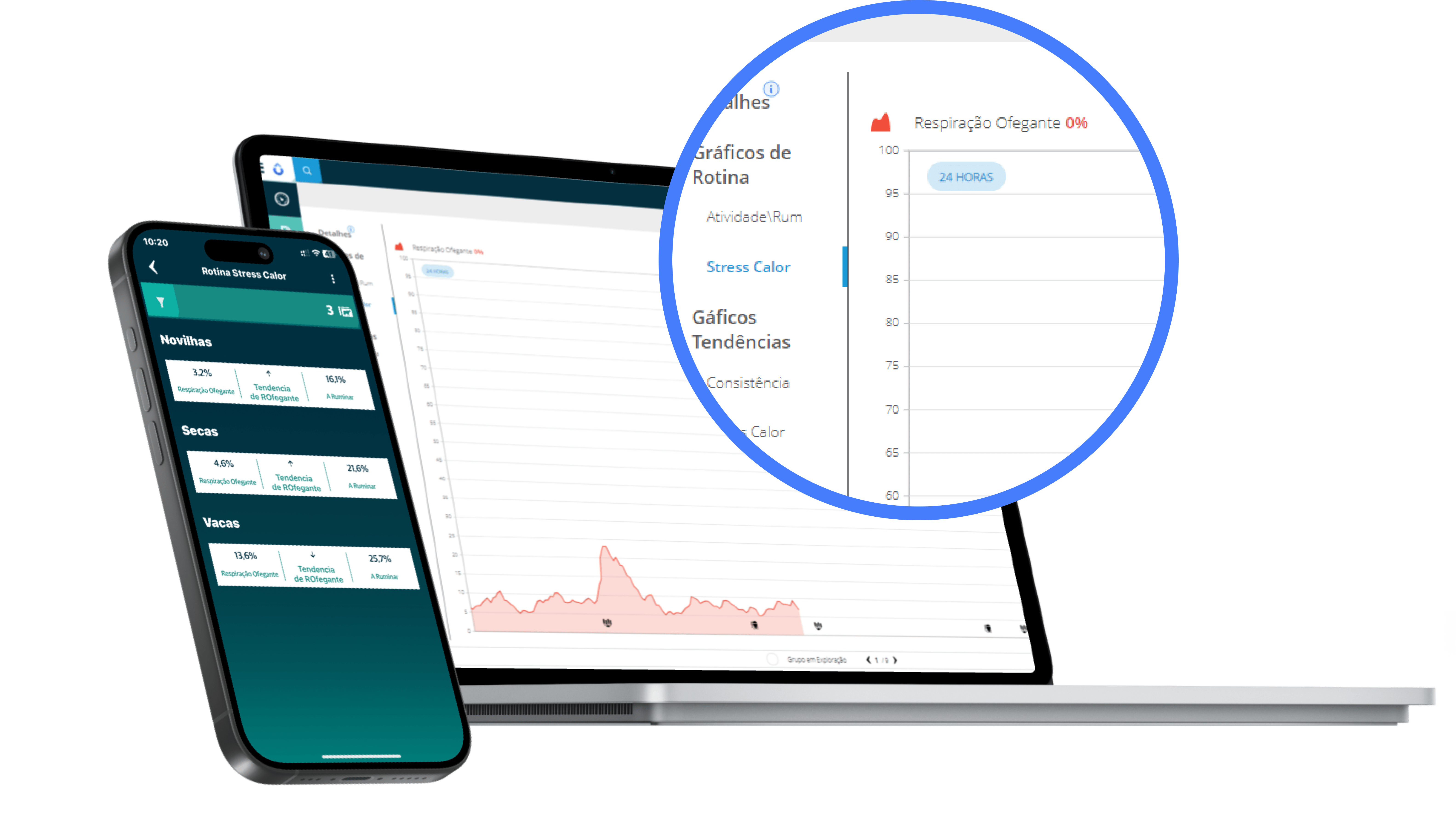 laptop and mobile phone with data