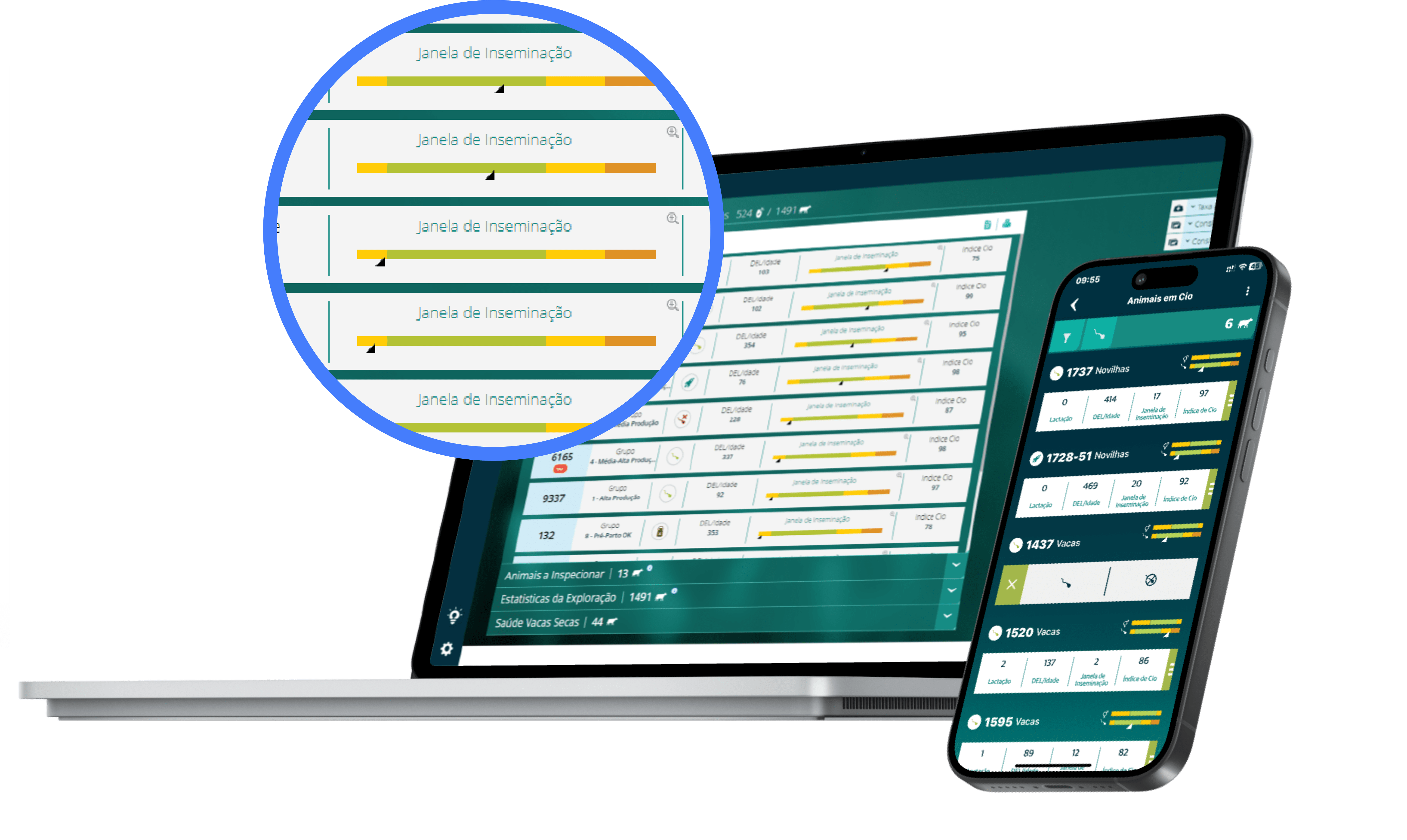 data shown on laptop and mobile devices